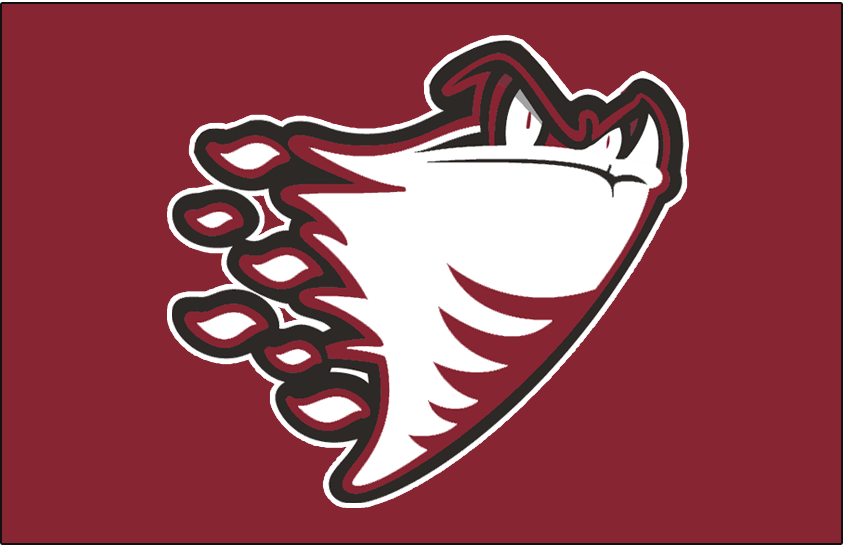 Guelph Storm 2000-2003 Jersey Logo iron on transfers for T-shirts
